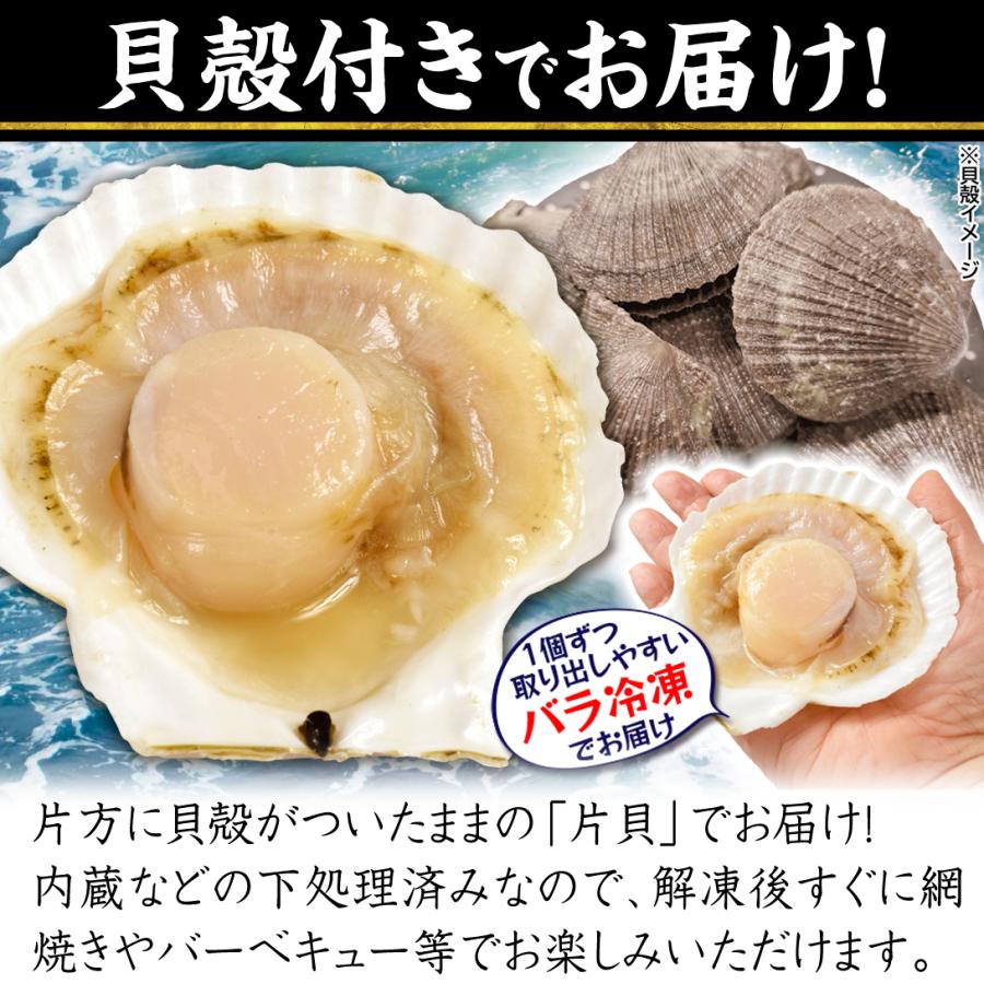 ホタテさん専用 楽天市場】片貝ホタテ（冷凍）L 殻付き10枚入（冷凍）北海道産