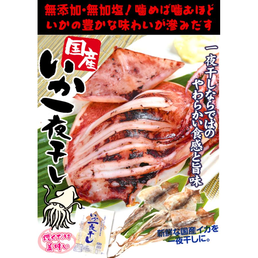 干物 国産 いか一夜干し 3枚 青森加工 生干し 無添加 無加塩 イカ 烏賊 三富産業 おつまみ バーベキュー 送料無料 冷凍便｜seikaokoku｜02