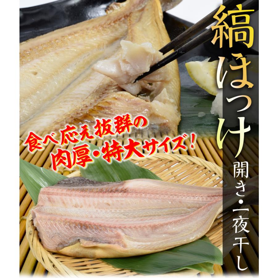 ホッケ 880g アメリカ産 特大シマホッケ開き 440g×2尾 縞ホッケ 特大 ホッケ開き 干物 食品 冷凍便｜seikaokoku｜02