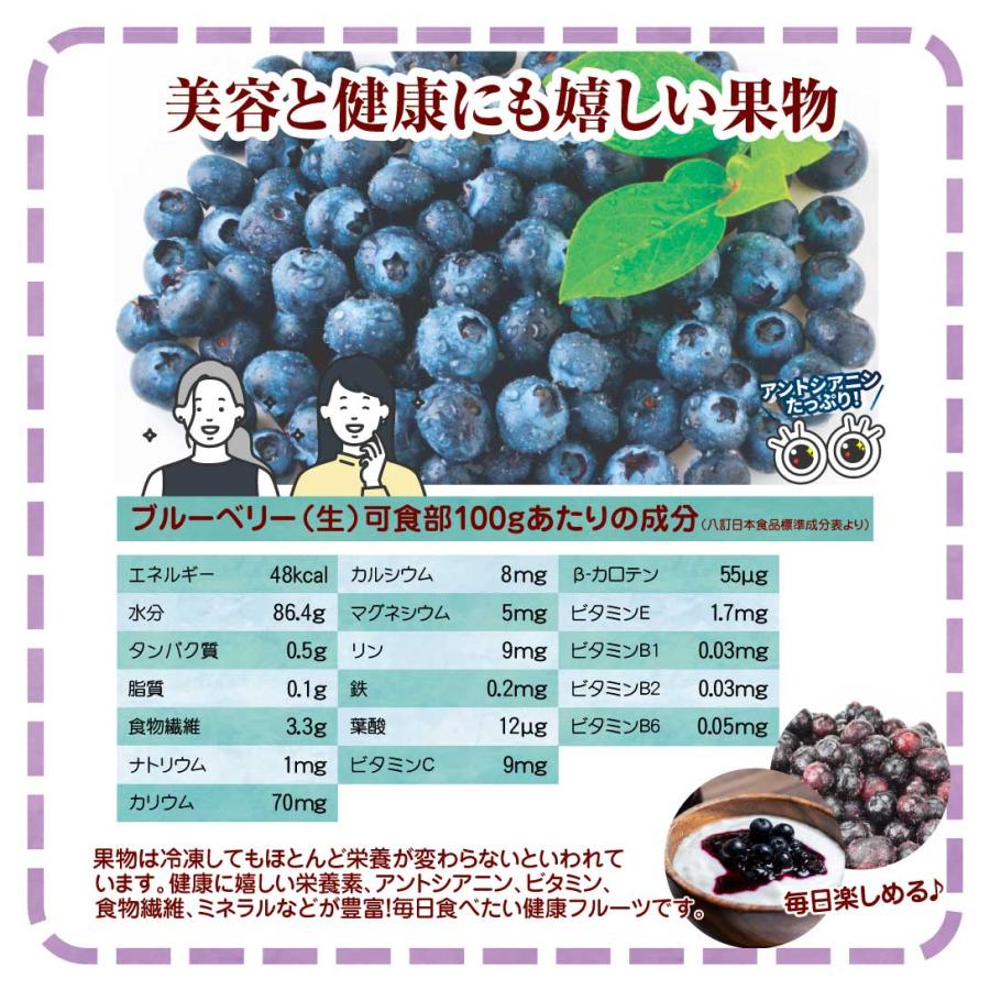 冷凍 ブルーベリー 約1kg カナダ産 送料無料 フローズン 冷凍便 食品