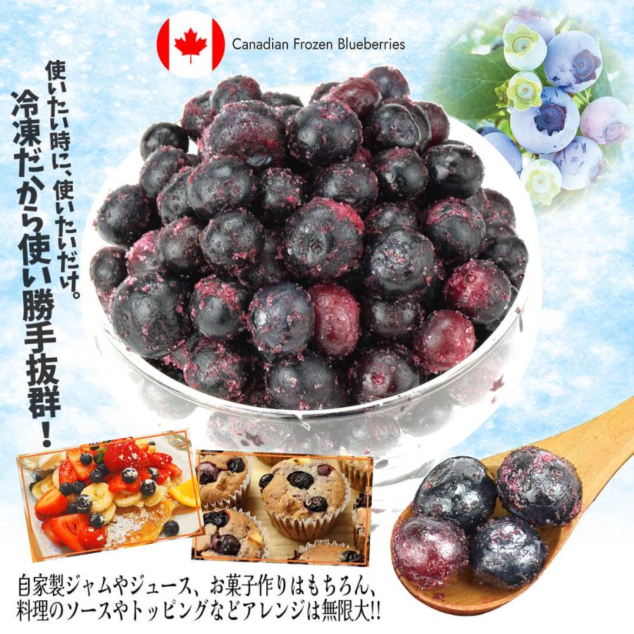 冷凍ブルーベリー 約2kg カナダ産 砂糖不使用 大容量 急速冷凍で美味し