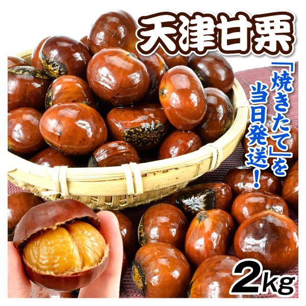 新栗 甘栗 天津甘栗 2kg 焼きたて 無添加 殻付き 送料無料 常温 食品（Yahoo!・食みらい・国華園）