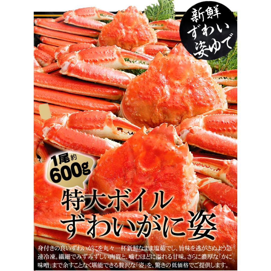 かに 3kg 特大 ボイルずわいがに 姿 5尾 数量限定 メガ盛 蟹 ゆでがに