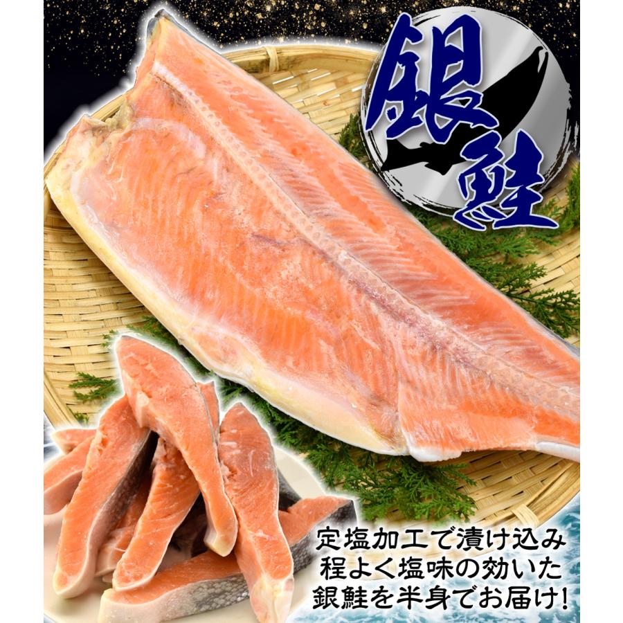 銀鮭のフィレ 1kg 定塩 半身 皮つき 食品 送料無料 冷凍便 : 食みらい・国華園 - 通販 - Yahoo!ショッピング