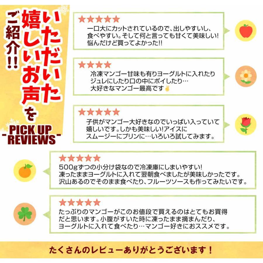 マンゴー 冷凍 完熟 カット済み 3kg（500g×6袋） 無添加 砂糖不使用