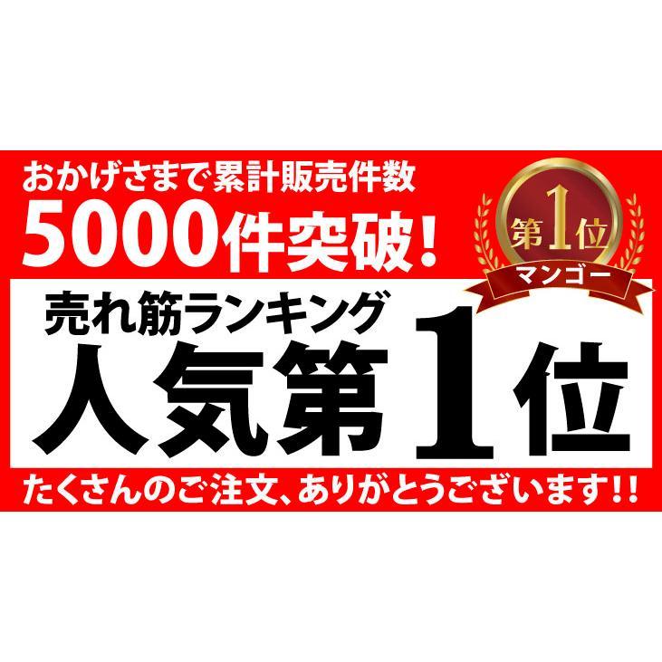 徳之島カットマンゴー 3キロ(500gx2袋)x3［北海道発送別途連絡要