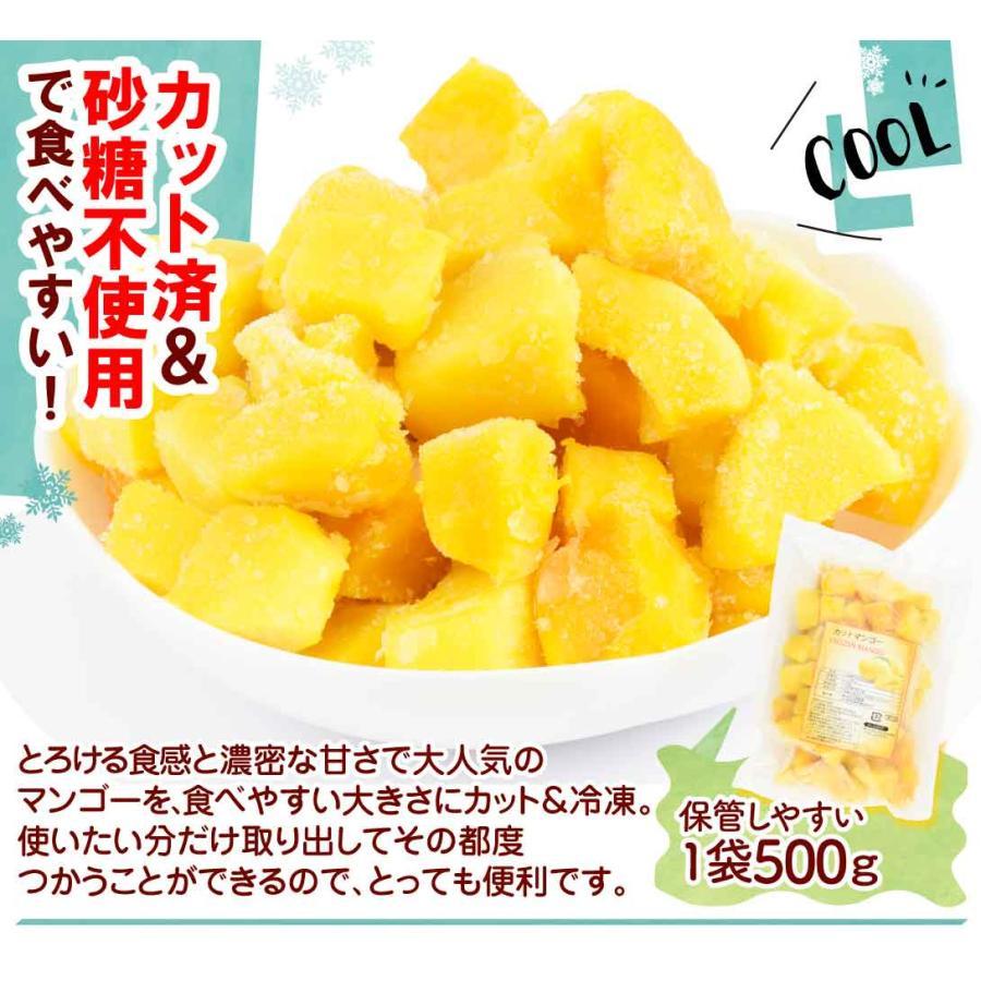 マンゴー 冷凍 完熟 カット済み 3kg（500g×6袋） 無添加 砂糖不使用