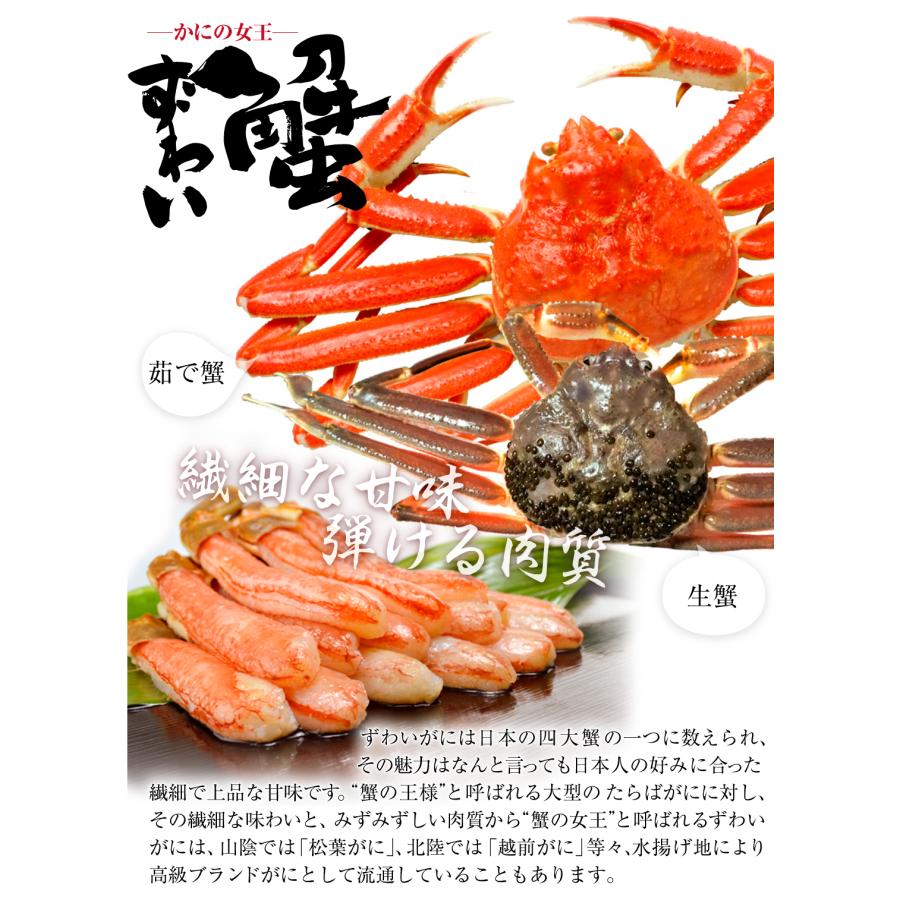 かに 北海道産 ボイルずわいがに姿 2尾 ゆで蟹 おおずわいがに 約400g