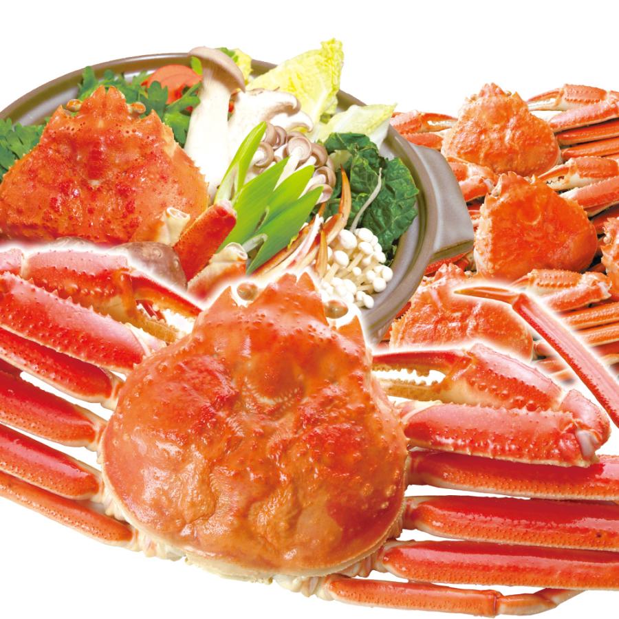 かに 北海道産 ボイルずわいがに姿 2尾 ゆで蟹 おおずわいがに 約400g