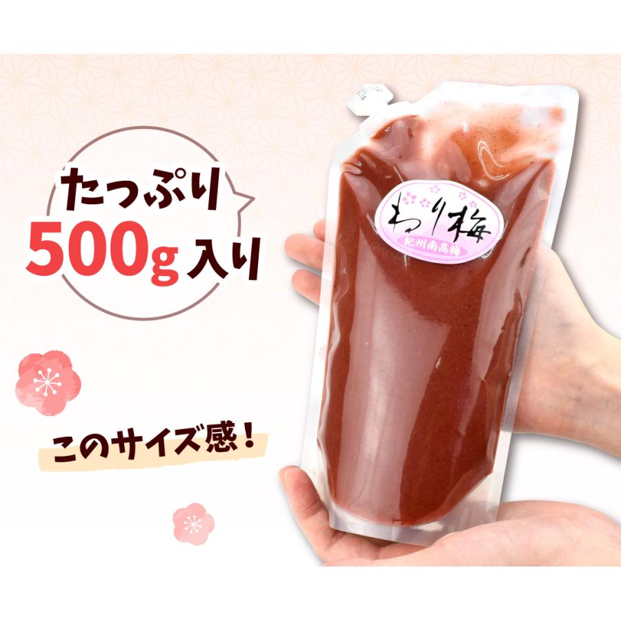 ねり梅 紀州南高梅 500g×2個 塩分約9% 和歌山産 チューブ 大容量 南高