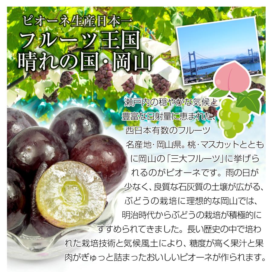 ぶどう 約1.2kg（600g×2房） ニューピオーネ 岡山産 送料無料 食品