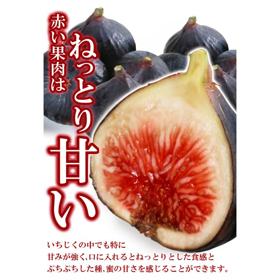 いちじく 約500g ビオレ・ソリエス 新潟産 希少品種 冷蔵便 送料無料