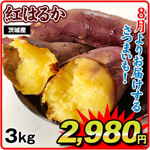 さつまいも 3kg 紅はるか 茨城産 送料無料 食品 国華園｜seikaokoku｜08