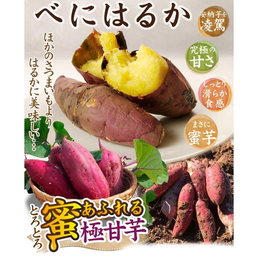 さつまいも 3kg 紅はるか 茨城産 送料無料 食品 国華園｜seikaokoku｜02