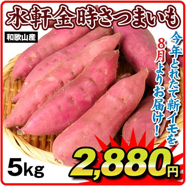 丁寧に選別、箱詰めされた国産のやまいも 和歌山県産紫つくね芋20kg