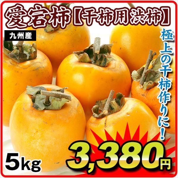 柿 約5kg 愛宕柿 【干柿用渋柿】 九州産 送料無料 食品 :f90235:食みらい・国華園 - 通販 - Yahoo!ショッピング