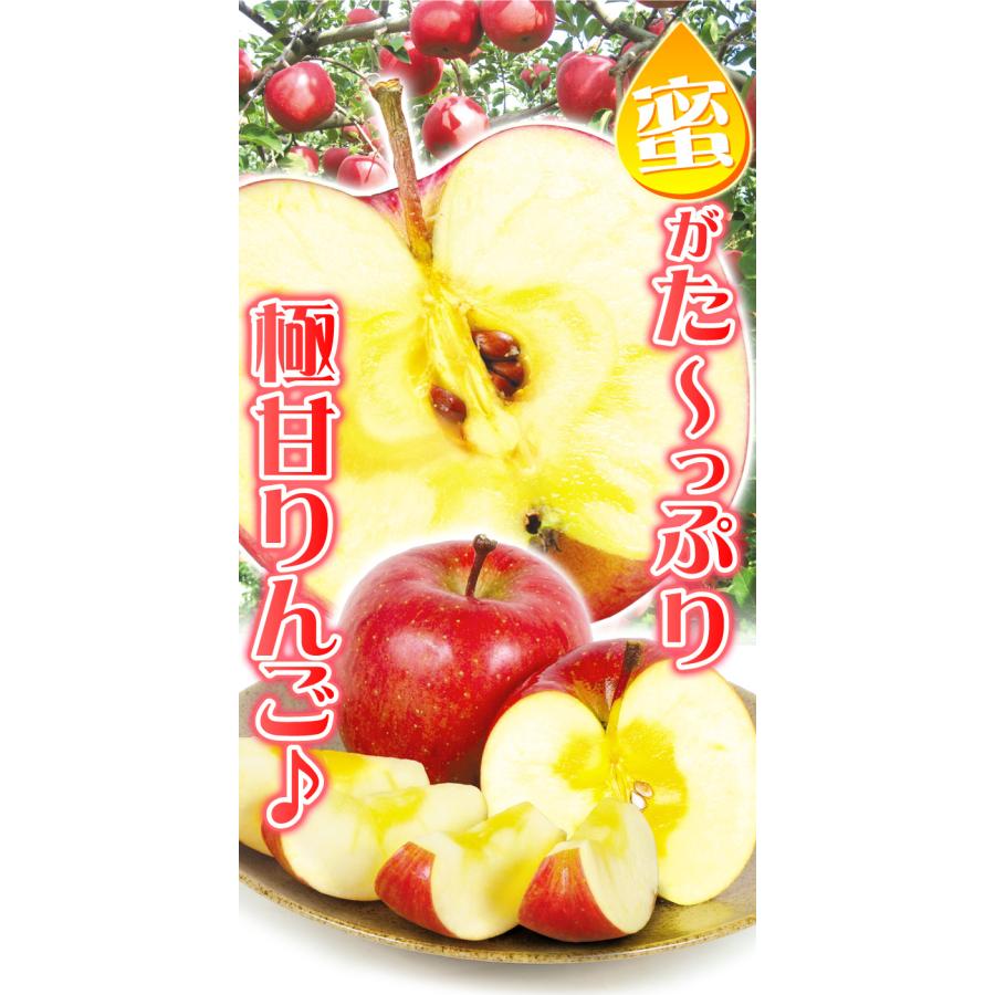 りんご 3kg 山形産 ご家庭用 蜜入りふじ 送料無料 食品｜seikaokoku｜09