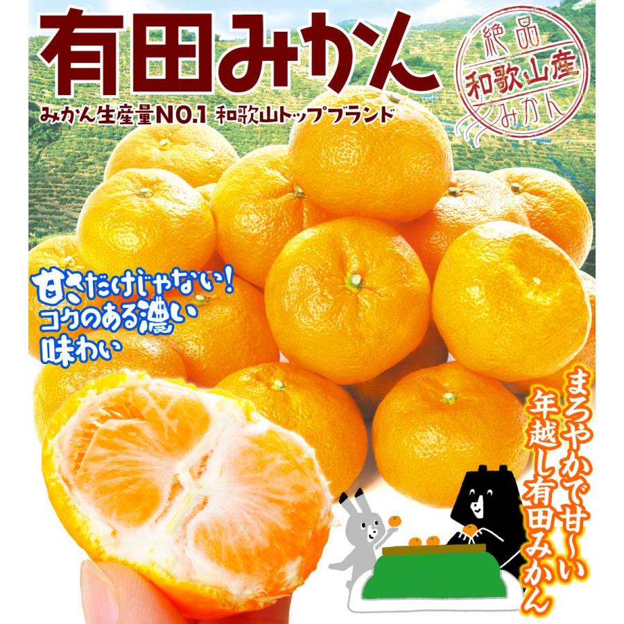 みかん 10kg 有田みかん 和歌山産 蜜柑 温州 ご家庭用 送料無料 みかん 10kg 有田みかん 和歌山産 蜜柑 温州 ご家庭用 送料無料