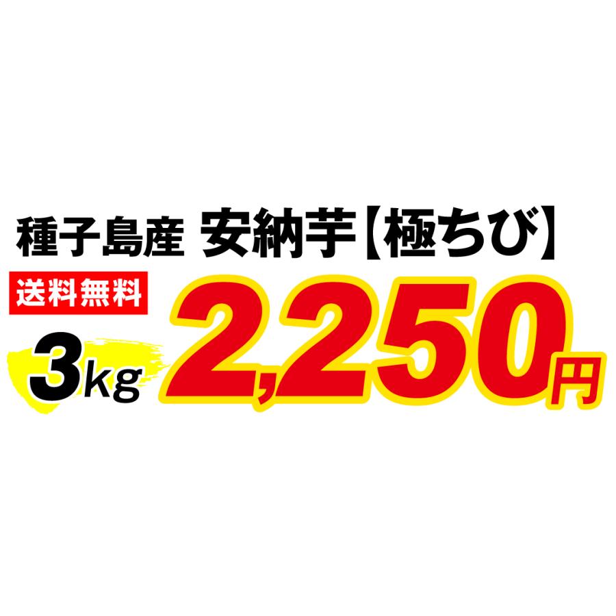 さつまいも 3kg 安納芋・極ちび 種子島産 ご家庭用 送料無料 食品｜seikaokoku｜03