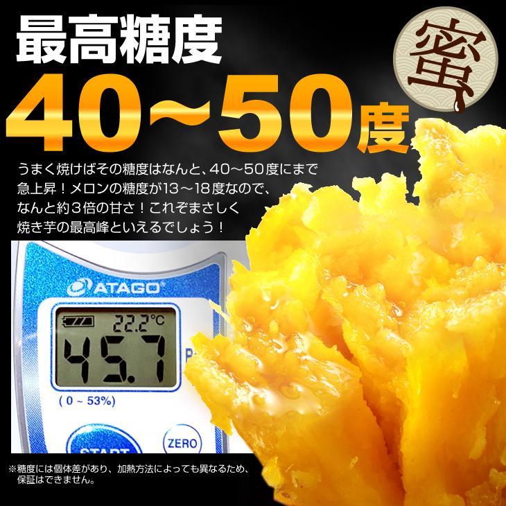 さつまいも 種子島産 安納芋・極ちび 3kg 小芋 送料無料 食品 : 食