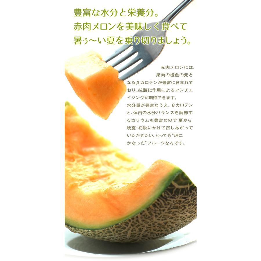 メロン 約4.5kg 厳選 赤肉メロン 熊本産 品種おまかせ ご家庭用