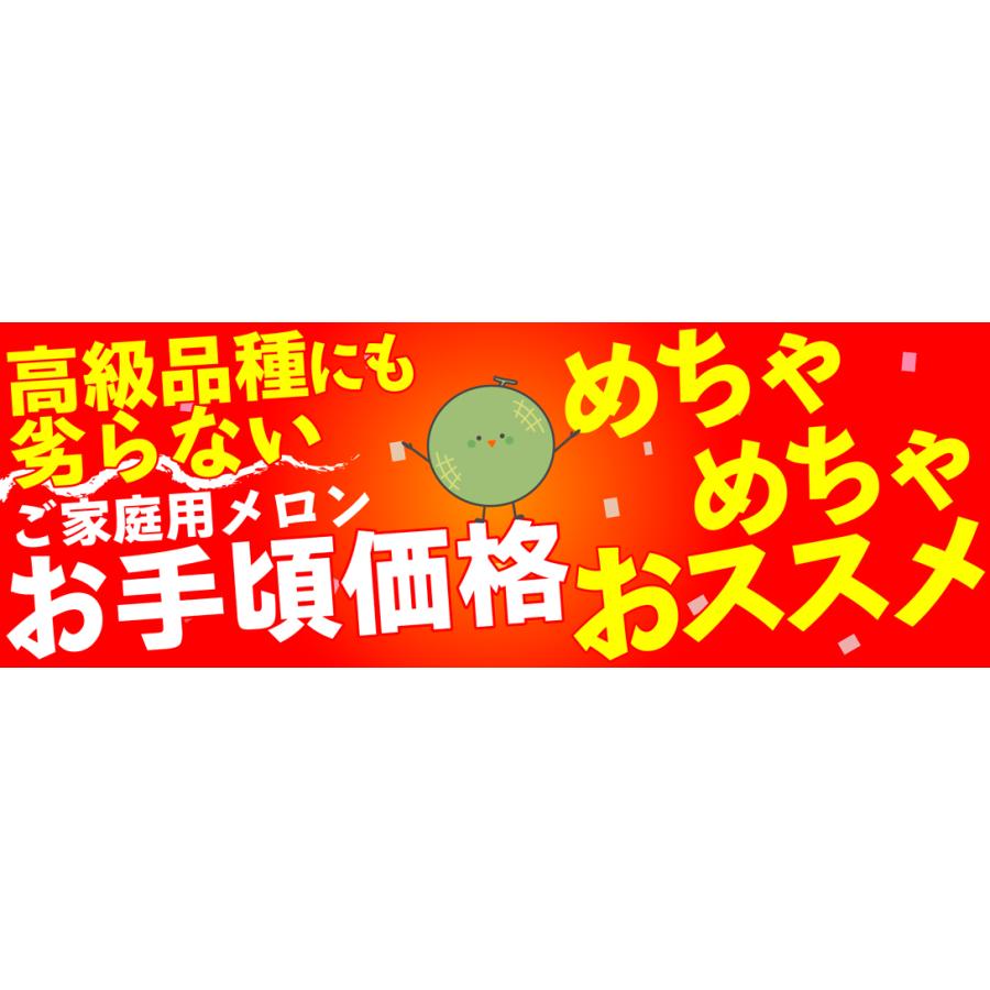 メロン 約4.5kg 厳選青肉メロン アンデスメロン タカミメロン 肥後グリーンメロン いずれか1品種 熊本・茨城産 ご家庭用 送料無料 食品 国華園｜seikaokoku｜02