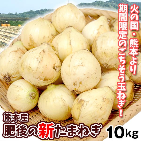 たまねぎ 10kg 肥後の新たまねぎ 熊本産 送料無料 食品（Yahoo!・食みらい・国華園）