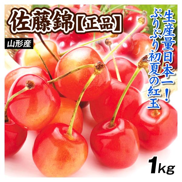 さくらんぼ 1kg 佐藤錦 正品 山形産 送料無料 食品 : 食みらい・国華園