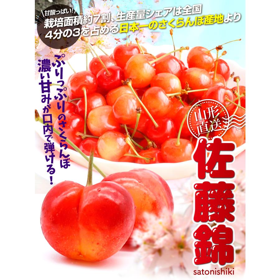 さくらんぼ 1kg 佐藤錦 正品 山形産 送料無料 食品 : 食みらい・国華園