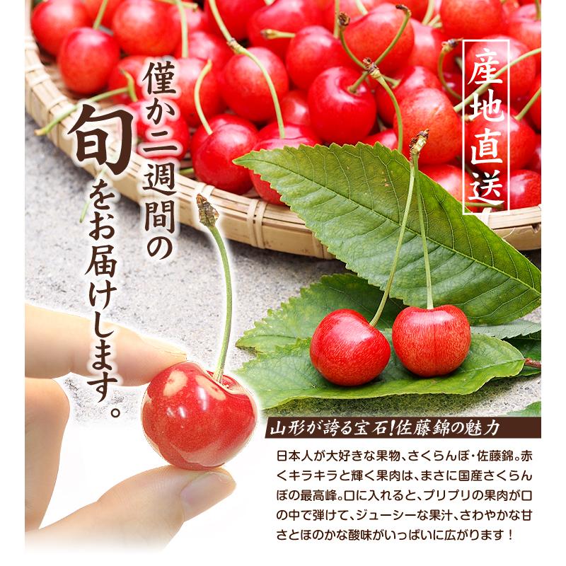 さくらんぼ 1kg 佐藤錦 正品 山形産 送料無料 食品 : 食みらい・国華園