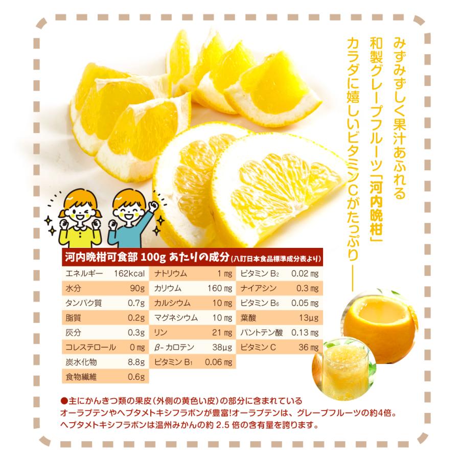 愛媛県産　大玉　宇和ゴールド　河内晩柑　柑橘　15kg 楽天市場】紅宇和ゴールド 紅河内晩柑 みかん 美生柑 ご家庭用