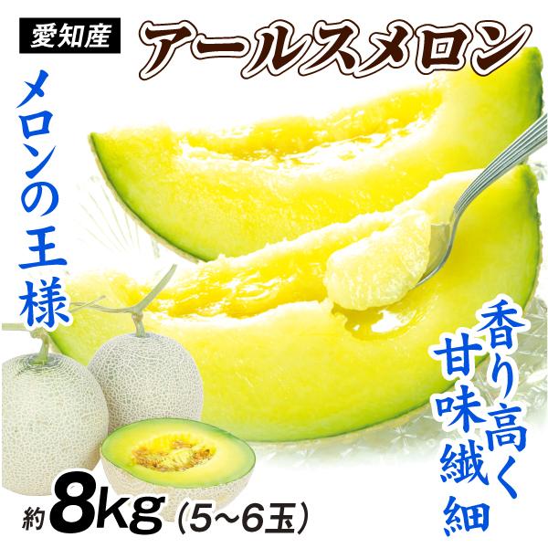 メロン 愛知産 アールスメロン 8kg 甘い 青肉メロン マスクメロン系 お