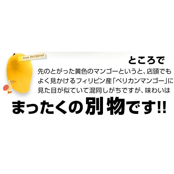 マンゴー タイ産 ナンドクマイ マンゴー ４玉 ご家庭用 約1.2kg 黄金のタマゴ ゴールデンマンゴー 希少マンゴー 熱帯果実 送料無料 食品 国華園｜seikaokoku｜06