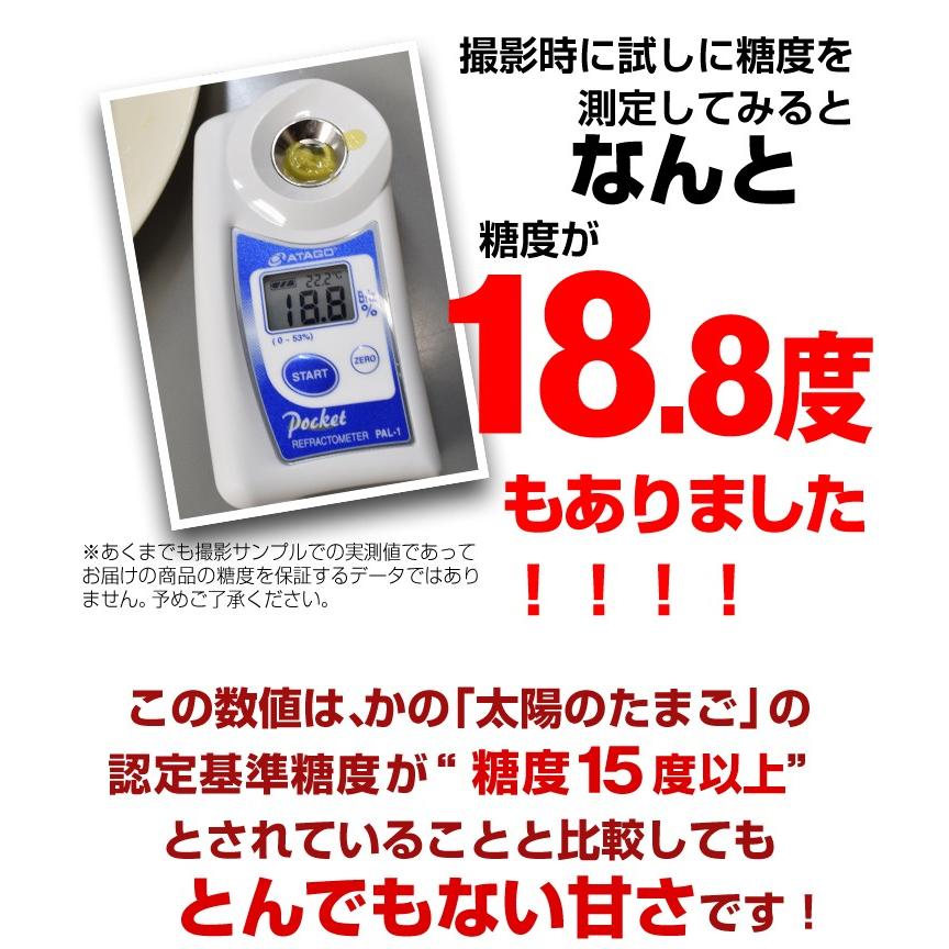 マンゴー タイ産 ナンドクマイ マンゴー ４玉 ご家庭用 約1.2kg 黄金のタマゴ ゴールデンマンゴー 希少マンゴー 熱帯果実 送料無料 食品 国華園｜seikaokoku｜08