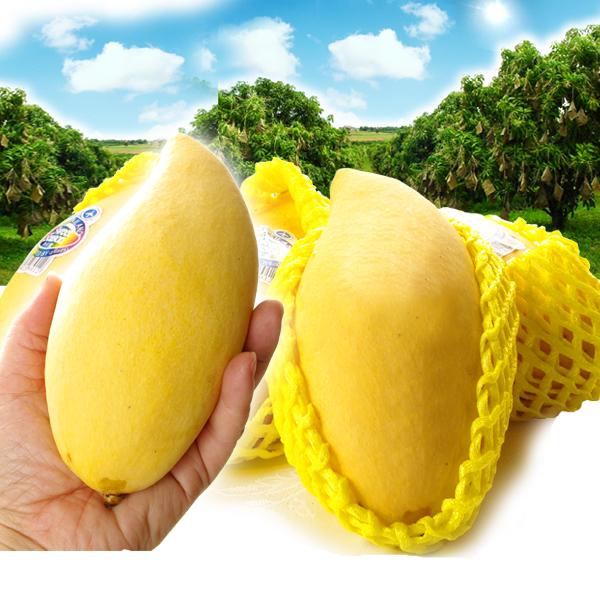 マンゴー タイ産 ナンドクマイ 約1.8kg 5〜8玉入り 送料無料 マンゴー タイ産 ナンドクマイ 約1.8kg 5〜8玉入り 送料無料