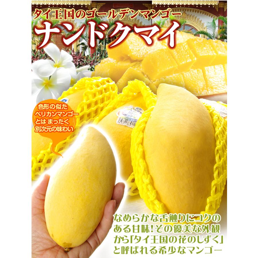 マンゴー タイ産 ナンドクマイ マンゴー 約1.8kg 6〜8玉入り 送料無料 黄金のタマゴ ゴールデンマンゴー 希少マンゴー 熱帯果実 食品｜seikaokoku｜02