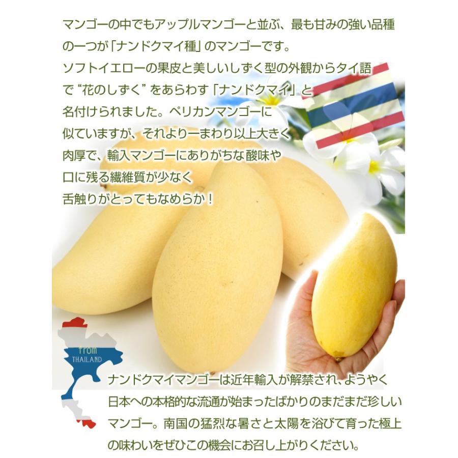 マンゴー タイ産 ナンドクマイ 約1.8kg 5〜8玉入り 送料無料 マンゴー タイ産 ナンドクマイ 約1.8kg 5〜8玉入り 送料無料