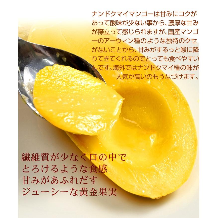 マンゴー タイ産 ナンドクマイ 約1.8kg 5〜8玉入り 送料無料 マンゴー タイ産 ナンドクマイ 約1.8kg 5〜8玉入り 送料無料
