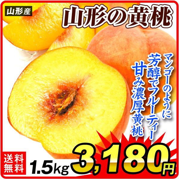 もも 1.5kg 山形の黄桃 山形産 ご家庭用 黄金桃 ゴールデンピーチ 品種