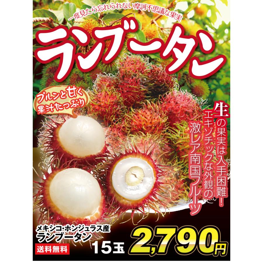 ランブータン 15玉 メキシコ産他 トロピカルフルーツ 生果 フレッシュ
