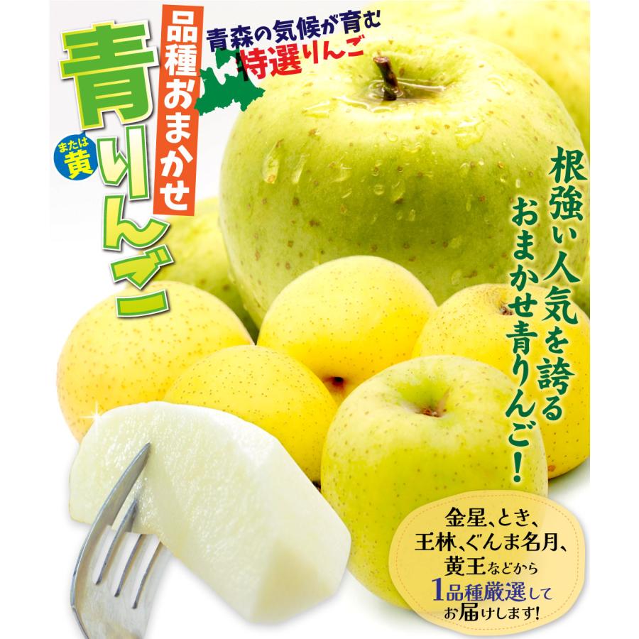 りんご 10kg 品種おまかせ 特選 青りんご 青森産 青林檎 ご家庭 りんご 10kg 品種おまかせ 特選 青りんご 青森産 青林檎 ご家庭