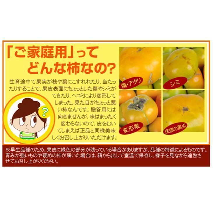 柿 約5kg 種なし柿 和歌山産 渋抜き済 送料無料 食品 : 食みらい・国