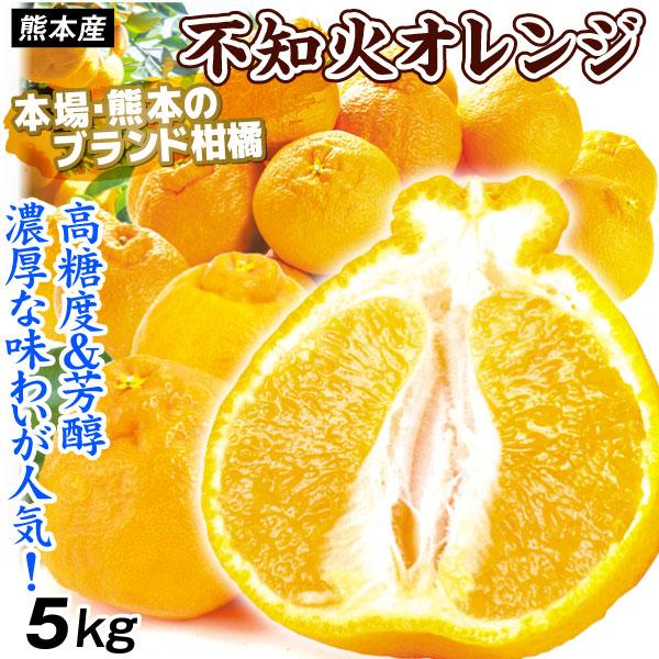 みかん 5kg 不知火オレンジ 熊本産 ご家庭用 デコ しらぬひ デコポンと