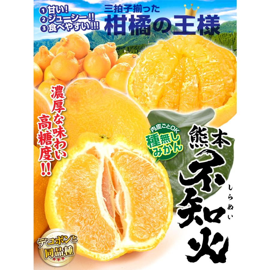 みかん 5kg 不知火オレンジ 熊本産 お買得 不知火 オレンジ デコ みかん 5kg 不知火オレンジ 熊本産 お買得 不知火 オレンジ デコ