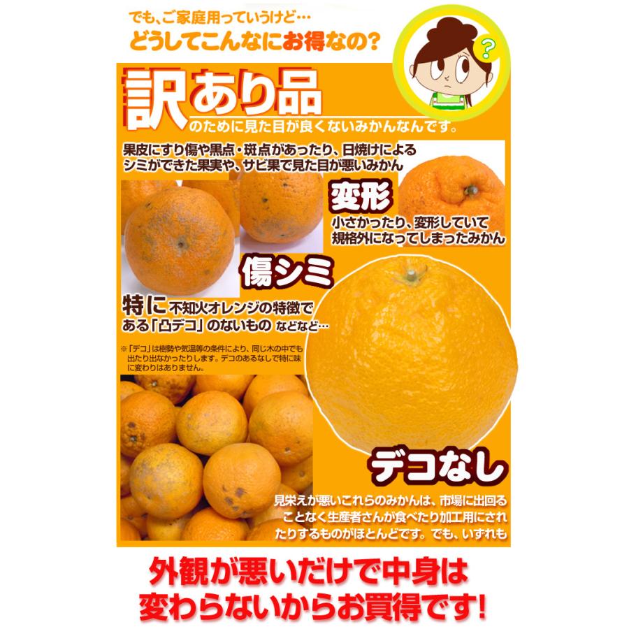 みかん 5kg 不知火オレンジ 熊本産 お買得 不知火 オレンジ デコ みかん 5kg 不知火オレンジ 熊本産 お買得 不知火 オレンジ デコ