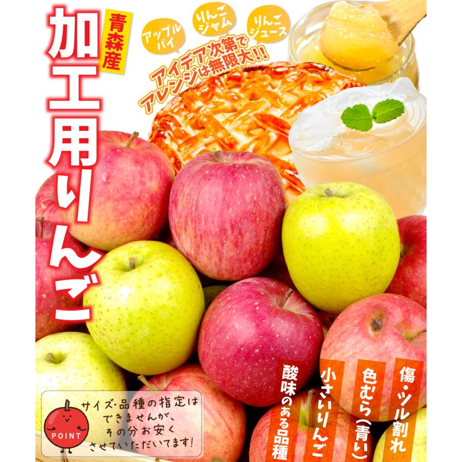 りんご 10kg ミックスりんご ご家庭用 青森産 加工用 訳あり 品種