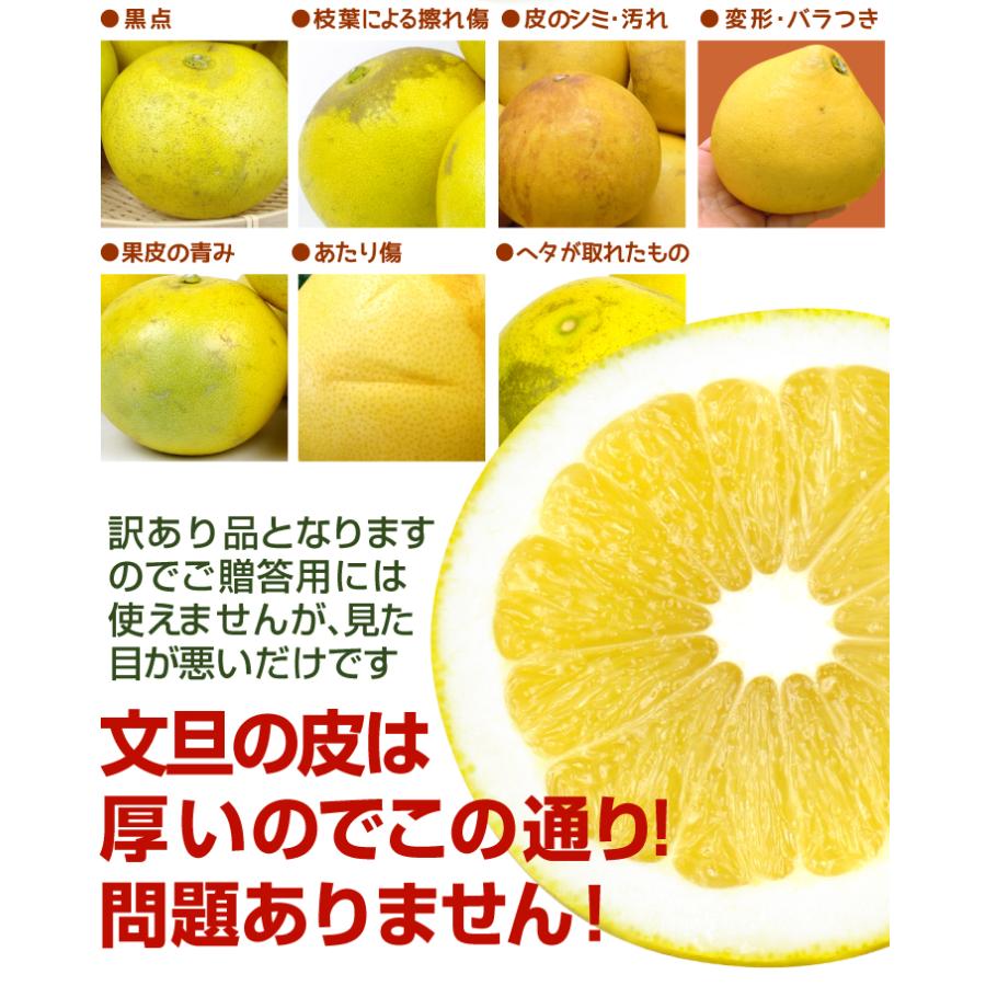 みかん 1.5kg 水晶文旦 大分産 ご家庭用 水晶 文旦 柑橘 果物 フルーツ