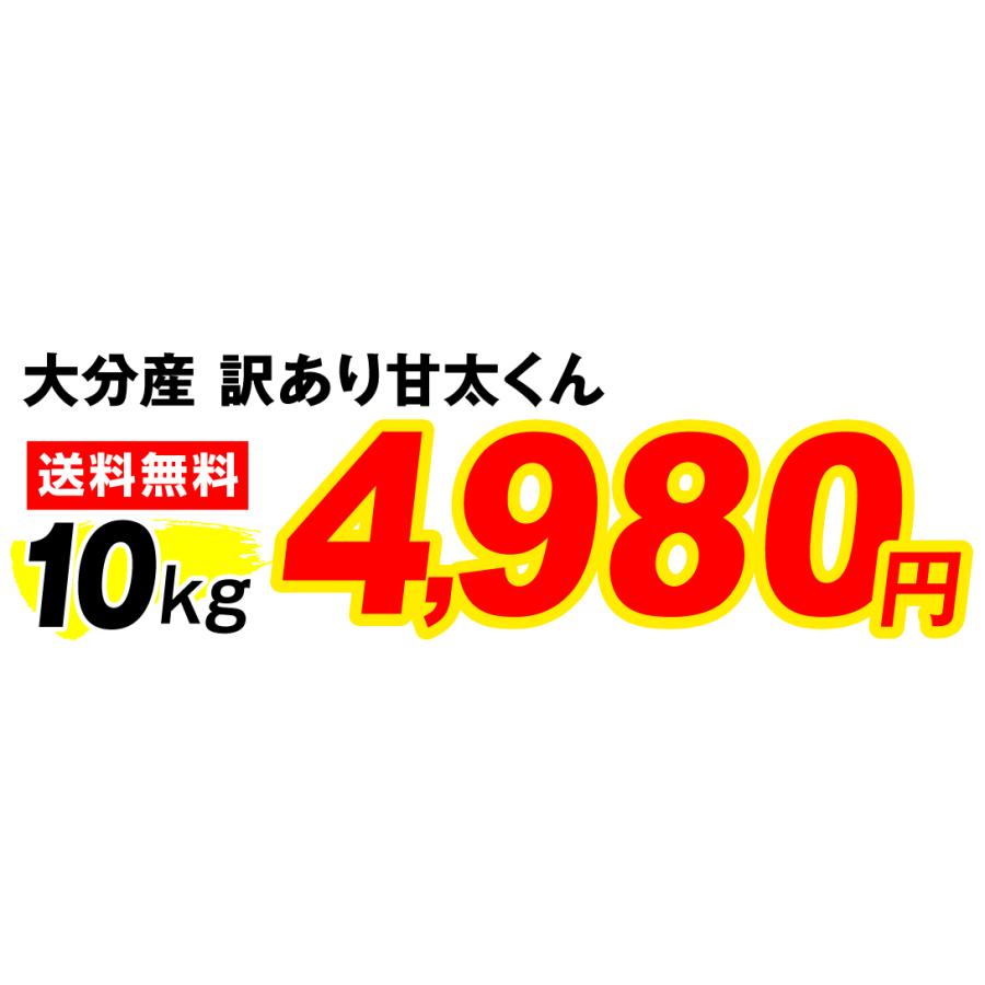 さつまいも 10kg 甘太くん 大分産 訳あり 熟成紅はるか 送料無料 食品