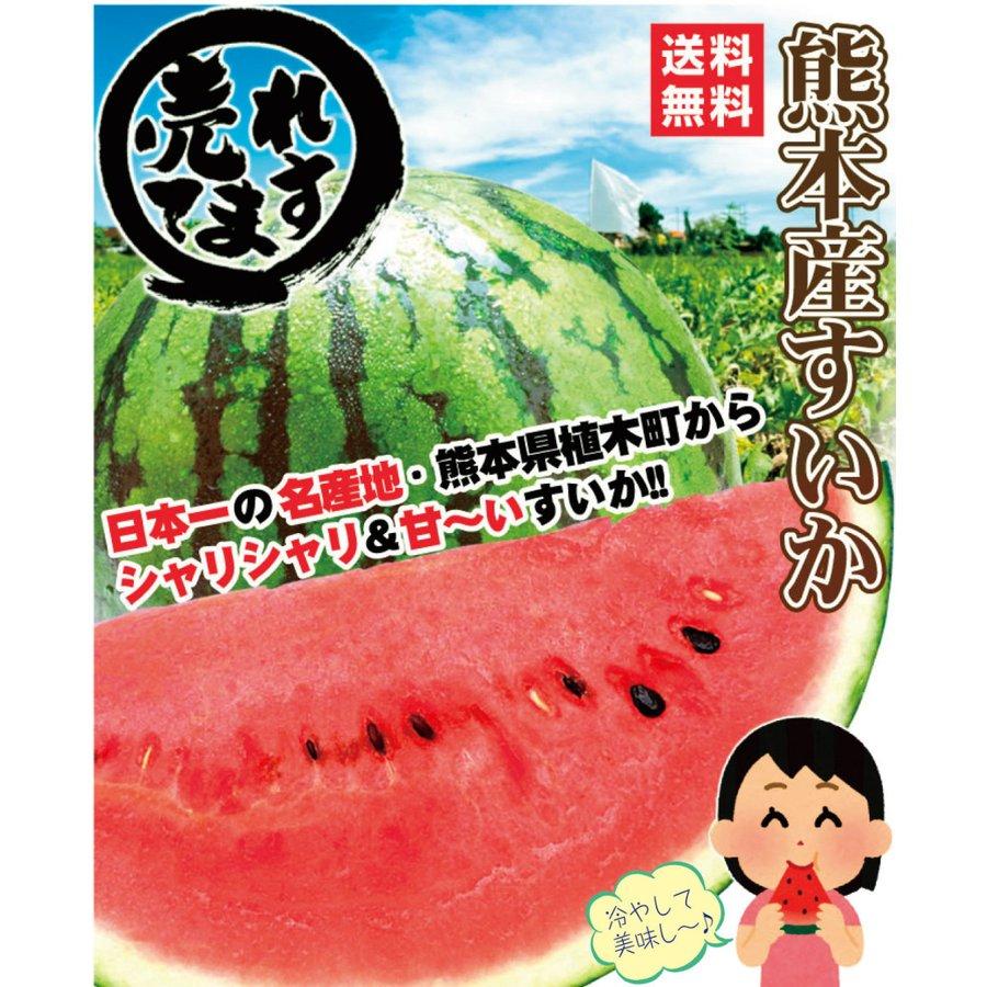 スイカ 1玉 植木の早出しすいか 4月中旬より発送開始 熊本産 送料無料