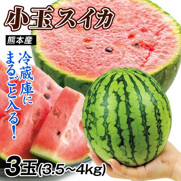 スイカ 3玉（3.5〜4kg入り）植木の小玉すいか 熊本産 送料無料 食品
